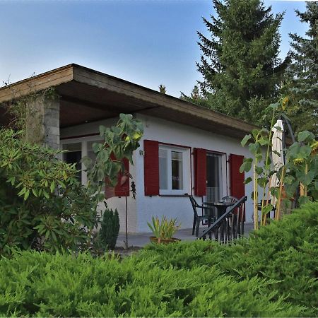 Cozy Holiday Home In G Ntersberge With Garden Güntersberge Exterior foto